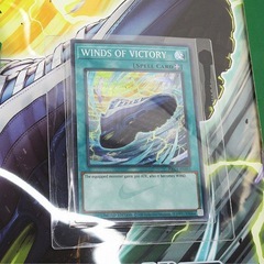 【新品】NIKE/ナイキ×遊戯王 城之内エアマッスル 95 QS YGO コラボスニーカー II7404-400/24 /080の画像