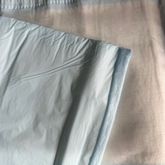 白十字 サルバ LLD 大人用フラットタイプ(吸収紙タイプ) 10枚 入×10個の画像