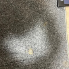 ホットカーペット(訳あり)の画像