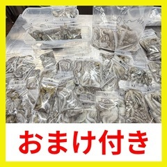 【３回目】シガヤーダコ1キロ超新鮮おまけ付きの画像