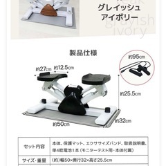 WM FITNESSエアロステッパー ステッパー ツイスト の画像