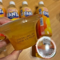 ファンタ&ゼリー&クッキー
の画像