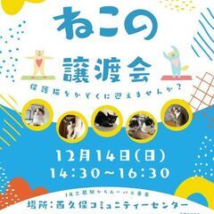 むさしの地域猫の会　譲渡会来てください♪
