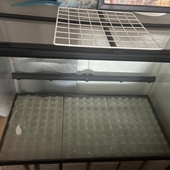 グラステラリウム9060の画像