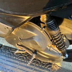 シグナス2型の画像