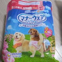 【11/21まで】うんぽパンツLL/犬用おむつS/フードのお皿（フードボウル）の画像