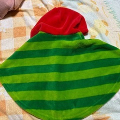 はらぺこあおむし　ポンチョの画像