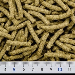 うさぎの極みの画像