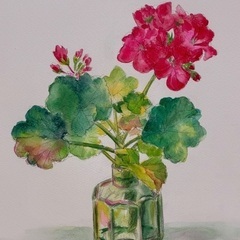 水彩画・デッサン・色鉛筆画など　どなたでも楽しく♪の画像