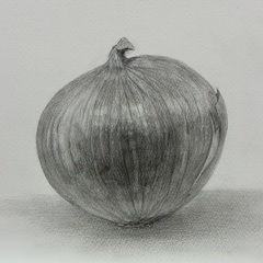 水彩画・デッサン・色鉛筆画など　どなたでも楽しく♪の画像