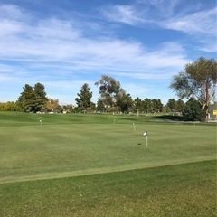 アメリカ帰りのコーチが必ずレベルアップさせますの画像