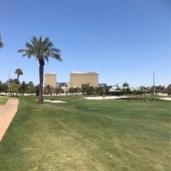 アメリカ帰りのコーチが必ずレベルアップさせますの画像