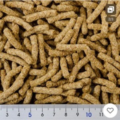 うさぎの極みトリーツ乳酸菌の画像