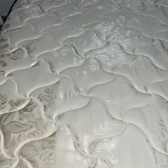 シングルベッド　マットレス　19㌢
の画像