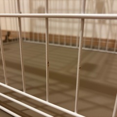 アイリスオーヤマウッディサークル　屋根付き
の画像