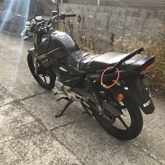 ヤマハ　YBR125  書類付実働ベース車の画像