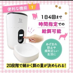 ペット自動給餌器犬猫いぬねこの画像