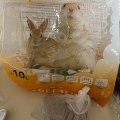 小動物のケージの画像