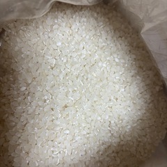 サトウのごはん　新潟県産コシヒカリ　おまけ　こしひかり　新米
の画像