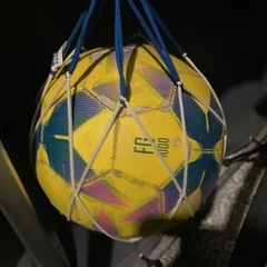 【募集中】【近日中処分予定】サッカーボール　4号球　ボールのみの画像