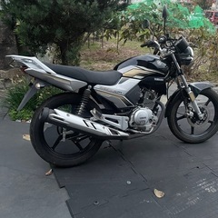 YBR125の画像