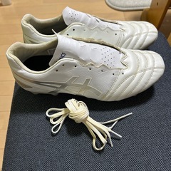 スパイクの画像