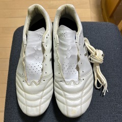 スパイクの画像