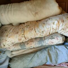 布団　11月22日昼の画像