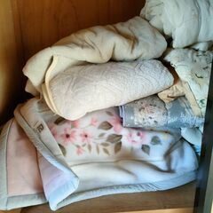 毛布　11月22日昼の画像