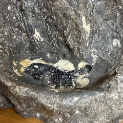 アクアリウム　岩　砂の噴水　の画像