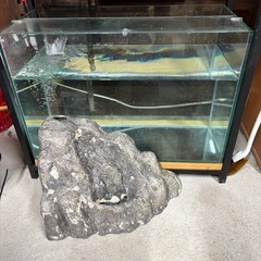 アクアリウム　岩　砂の噴水　の画像