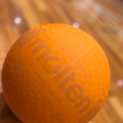 ソフトバレーボールしましょう！メンバー募集！