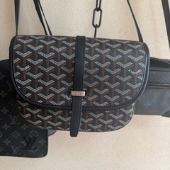 ごゴヤールの画像