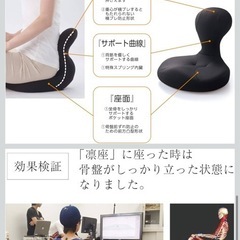 [Labonetz]骨盤座椅子　凛座の画像