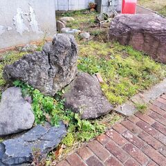 【無料で庭石お譲りします】の画像