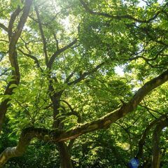 【2026年まで残り1ヶ月限定無料】あなた史上最高の目標を…