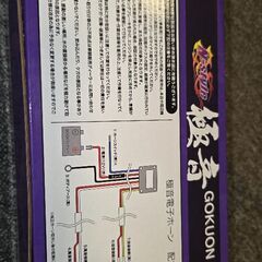 極音電子ホーンの画像