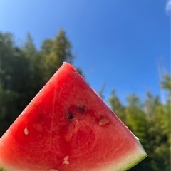 農家直送！熊本植木スイカ　『羅王』の画像