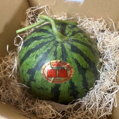 農家直送！熊本植木スイカ　『羅王』の画像