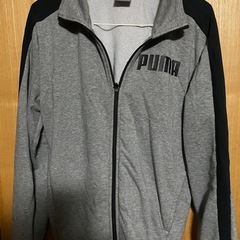 ✨️PUMAセットアップ✨️の画像