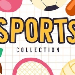 11月22、23、24日スポーツざんまい開催🏸🏐🏀