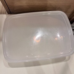 これスイカいっぱい入りますの画像