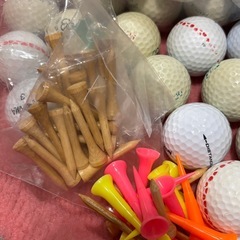 ロストボール71個&バンブーティの画像