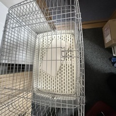 ウサギ  、ゲージ
の画像