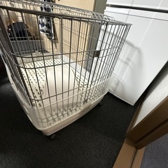 ウサギ  、ゲージ
の画像