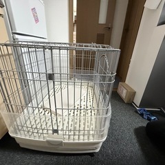 ウサギ  、ゲージ
の画像