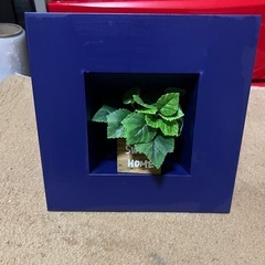 おしゃれプランター15枚くらいの画像