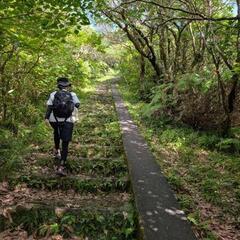 【募集】12/1（月）20時～：@上野 夜ハイキング（新規…