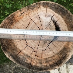 ☆欅(ケヤキ)丸太椅子Aの画像