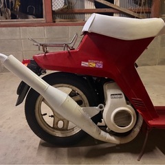 スカイ欲しい人居ないでスカイ？？の画像